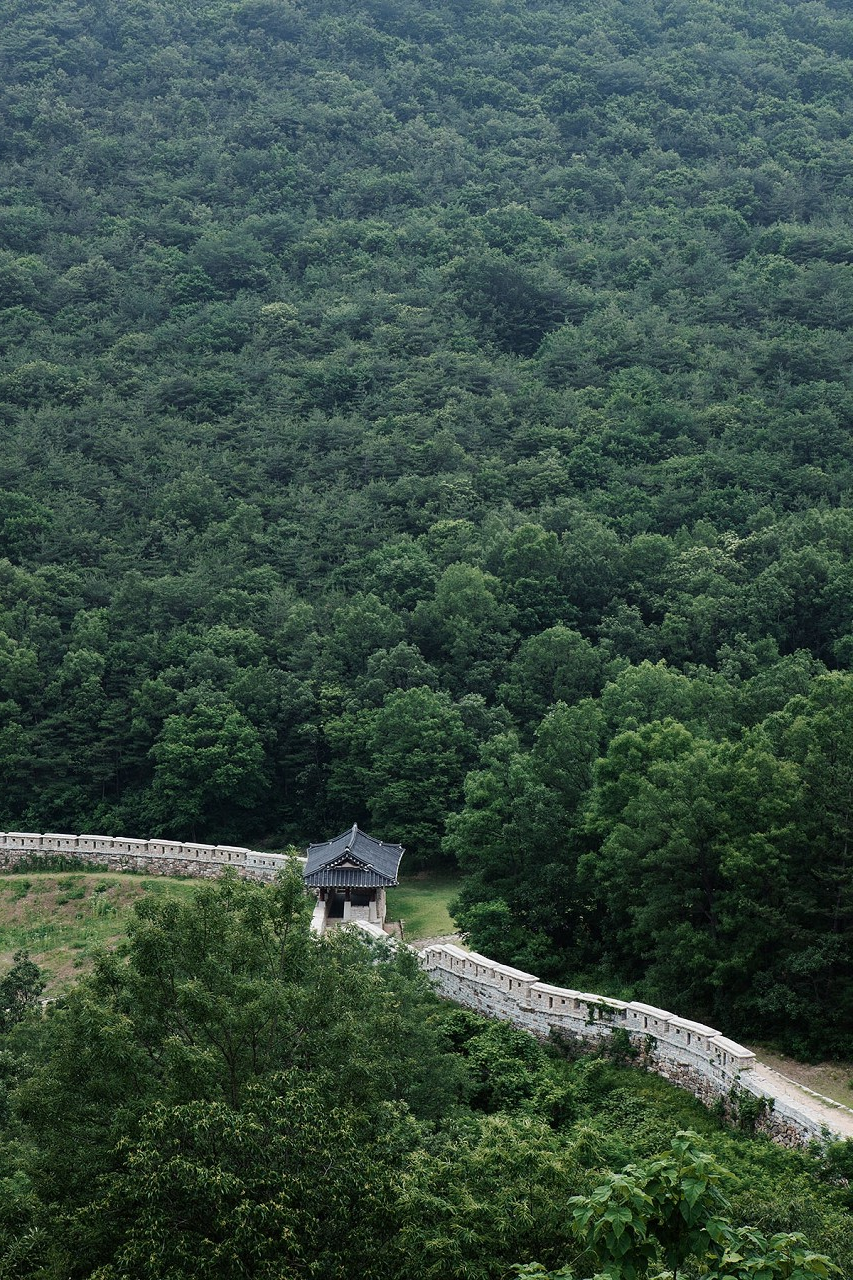 村庄风景